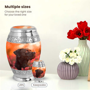 Dog Large Urn 10 Inch